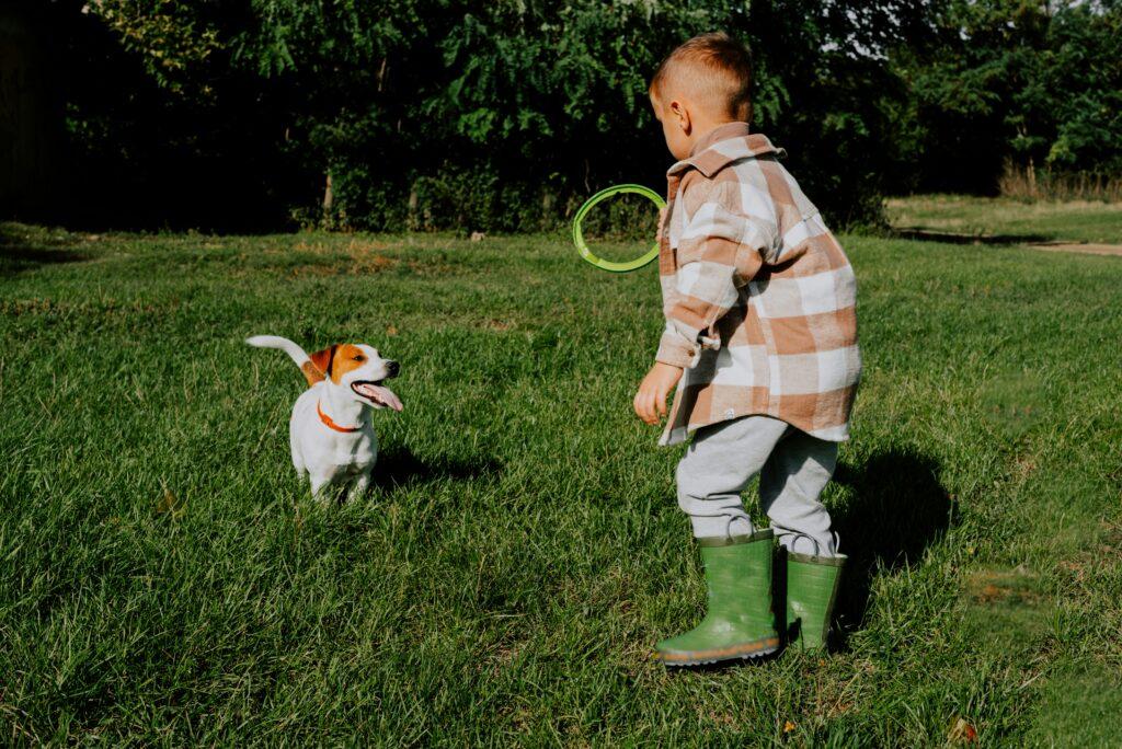 A child joyfully playing with a dog in a sunny field, surrounded by green grass and wildflowers.